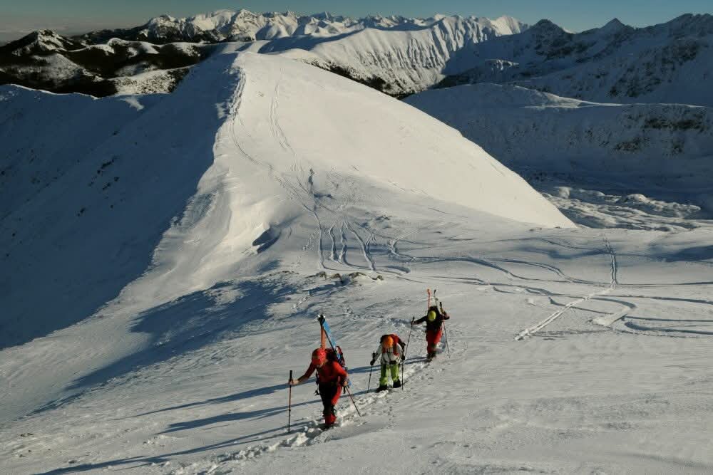 Skialpinizmus